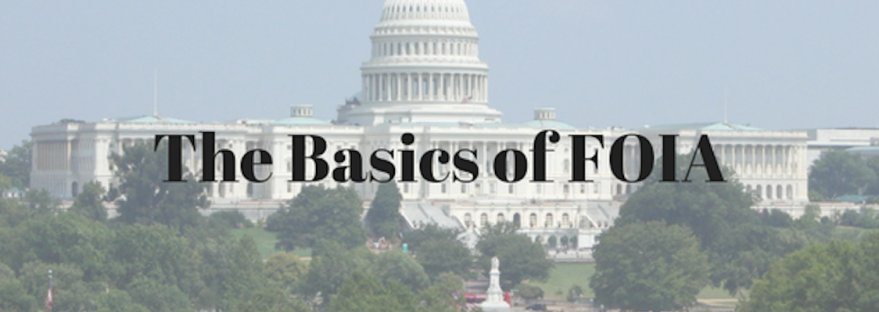 The Basics of Freedom of Information Act